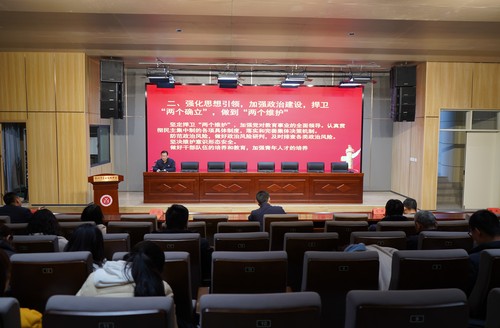 纪委书记王磊作党建工作汇报